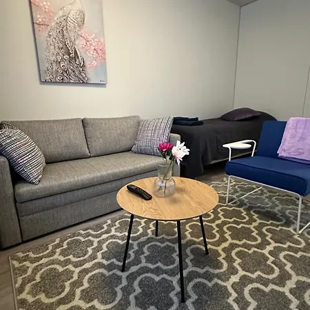 Cozy Two-room With Parking Apartment Kuopio