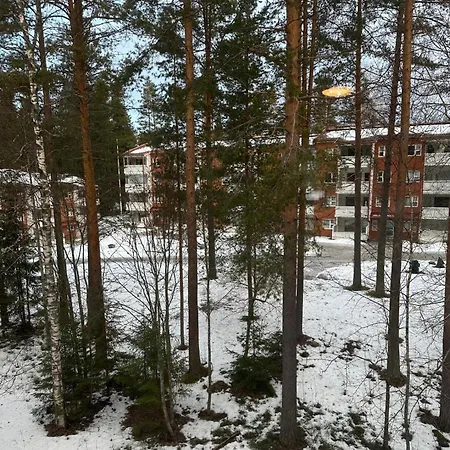 Viihtyisae Kaksio Ilmaisella Parkkipaikalla Apartment *