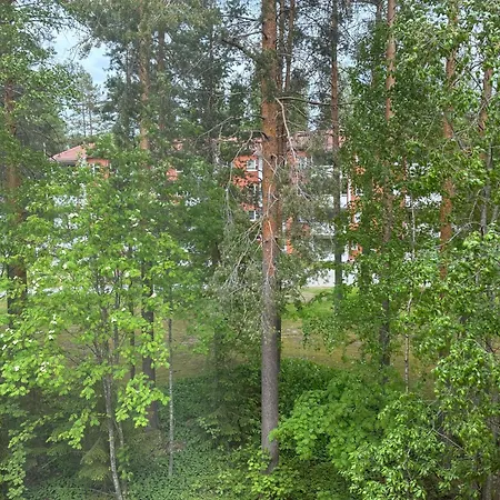 Apartment Cozy Two-room With Parking Kuopio